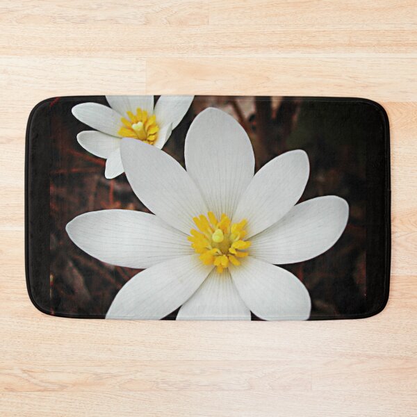 Item preview, Bloodroot flowers shining in the spring designed and sold by rvjames.