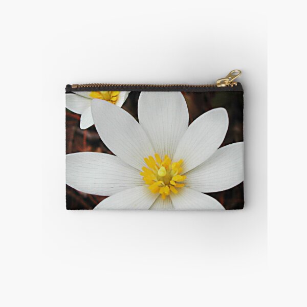 Item preview, Bloodroot flowers shining in the spring designed and sold by rvjames.