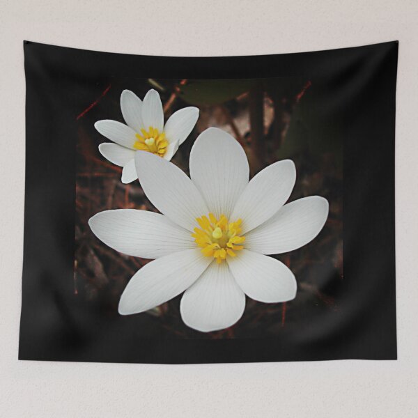Item preview, Bloodroot flowers shining in the spring designed and sold by rvjames.