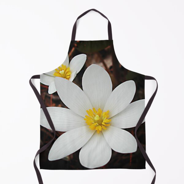 Item preview, Bloodroot flowers shining in the spring designed and sold by rvjames.