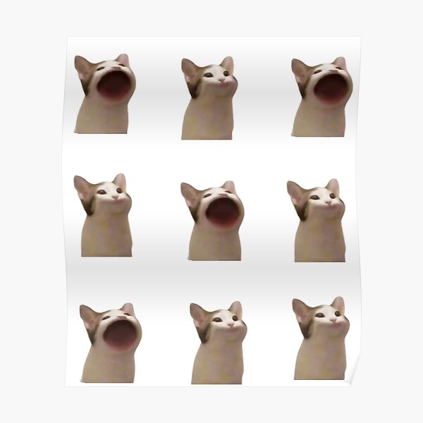 Pog Cat Posters | Redbubble