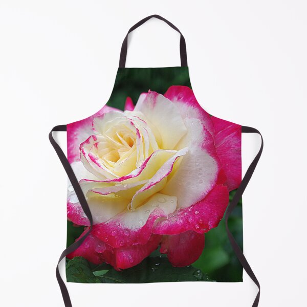 Item preview, Red and white, Double Delight Rose designed and sold by rvjames.