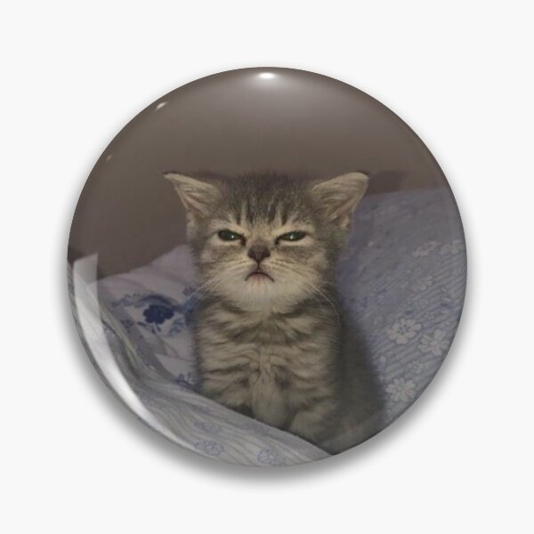Item preview, Angry Cat designed and sold by TriforcePika.