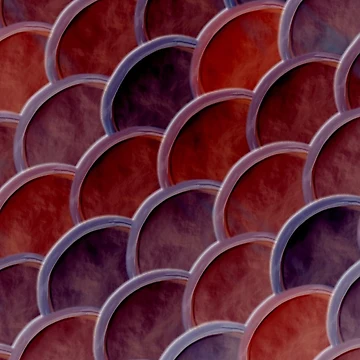 Artwork thumbnail, Ceramic Shell Pattern by simpleones