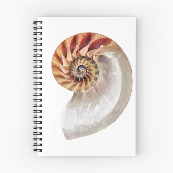 Item preview, Nautilus Shell Spiral Design designed and sold by Heathermarie321.