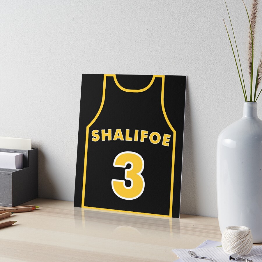 Toni Shalifoe Basketball Jersey - The Wilds Lightweight Hoodie