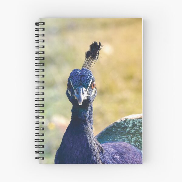 Item preview, Peacock Portrait - Animals Photography designed and sold by Dan Shachar.