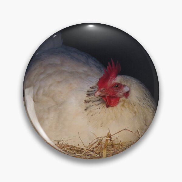 Item preview, Chicken Portrait - Roosting Hen - Farmhouse Decor designed and sold by Dan Shachar.