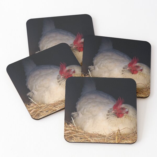 Item preview, Chicken Portrait - Roosting Hen - Farmhouse Decor designed and sold by Dan Shachar.
