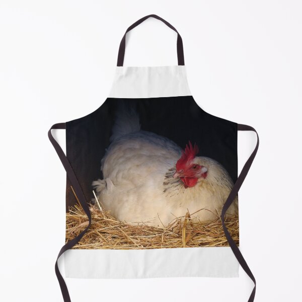 Item preview, Chicken Portrait - Roosting Hen - Farmhouse Decor designed and sold by Dan Shachar.