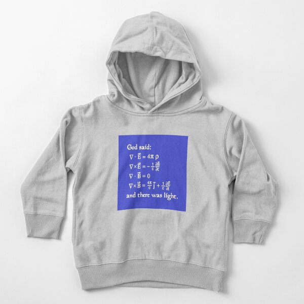 God said Maxwell Equations, and there was light. Toddler Pullover Hoodie