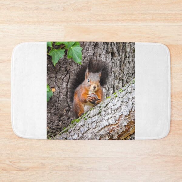 Item preview, Red Squirrel Portrait - Animals and Nature Photography designed and sold by Dan Shachar.