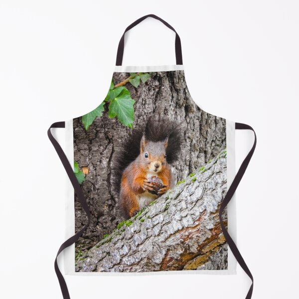 Item preview, Red Squirrel Portrait - Animals and Nature Photography designed and sold by Dan Shachar.