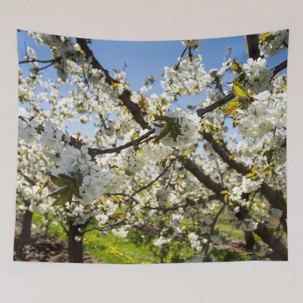 Item preview, Hood River Valley Orchards Oregon US designed and sold by tamal778.
