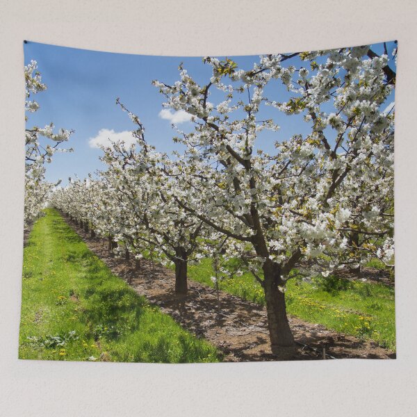 Item preview, Hood River Valley Orchards Oregon United States designed and sold by tamal778.