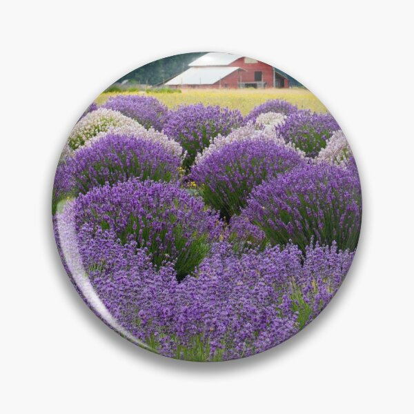 Item preview, Lavender Valley Mt. Hood Oregon US designed and sold by tamal778.