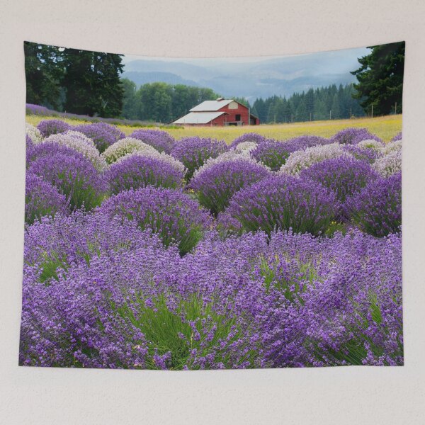 Item preview, Lavender Valley Mt. Hood Oregon US designed and sold by tamal778.