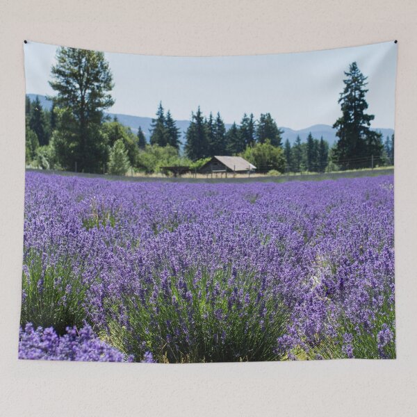 Item preview, Lavender Valley Mt. Hood Oregon United States designed and sold by tamal778.