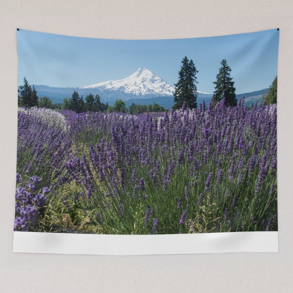 Item preview, Lavender Valley Mt. Hood Oregon in United States designed and sold by tamal778.