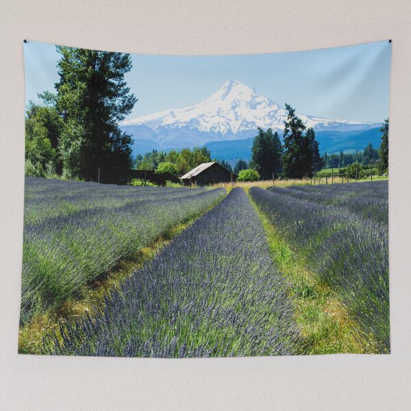 Item preview, Lavender Valley Mt. Hood Oregon in US designed and sold by tamal778.