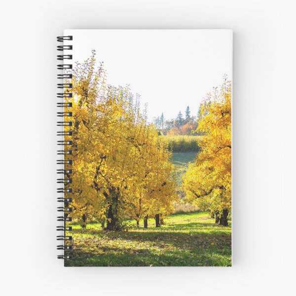 Item preview, Orchard trees in autumn Oregon US designed and sold by tamal778.