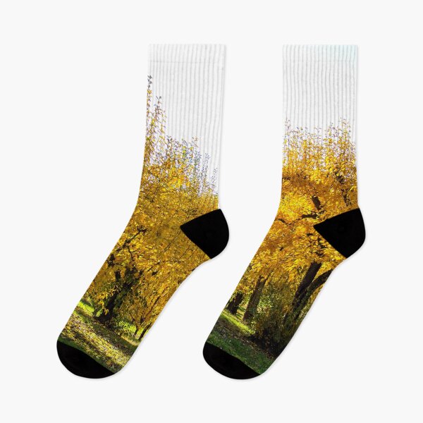 Item preview, Orchard trees in autumn Oregon US designed and sold by tamal778.