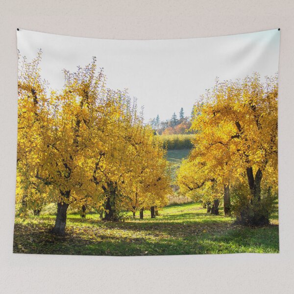 Item preview, Orchard trees in autumn Oregon US designed and sold by tamal778.
