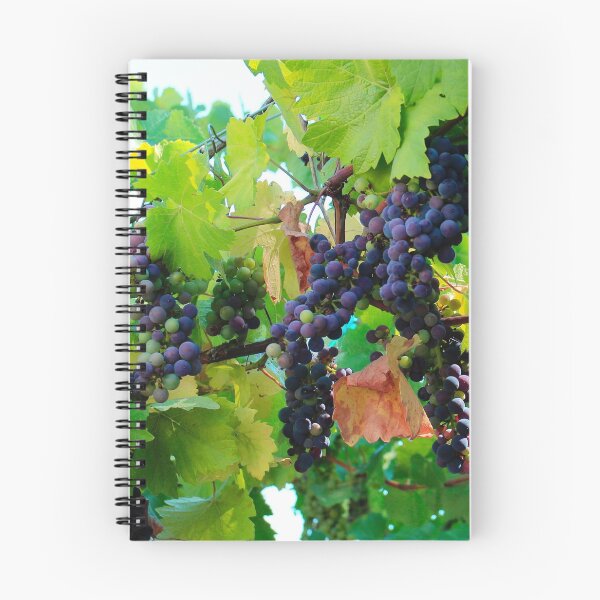 Item preview, Purple grapes, Hood River Orchards, Oregon designed and sold by tamal778.