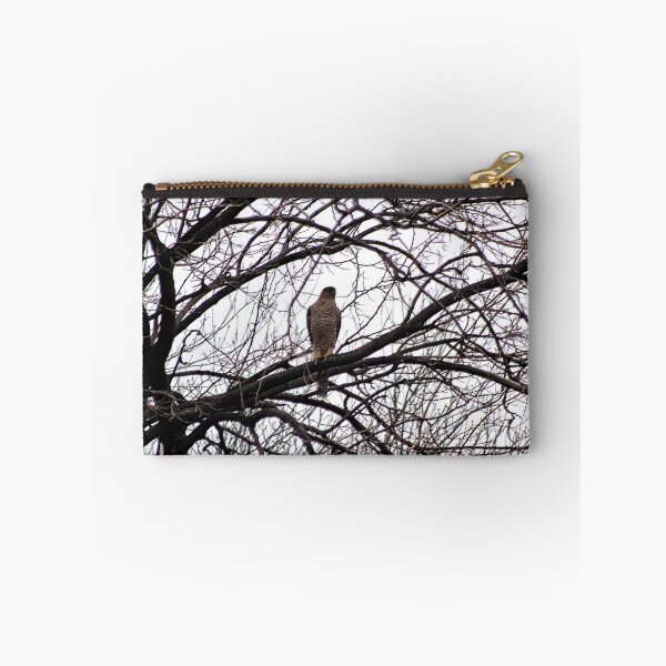 Item preview, COOPERS HAWK designed and sold by BOLLA67.