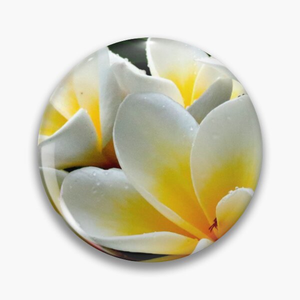 Item preview, White Frangipani 1 designed and sold by Geoff Treagus.