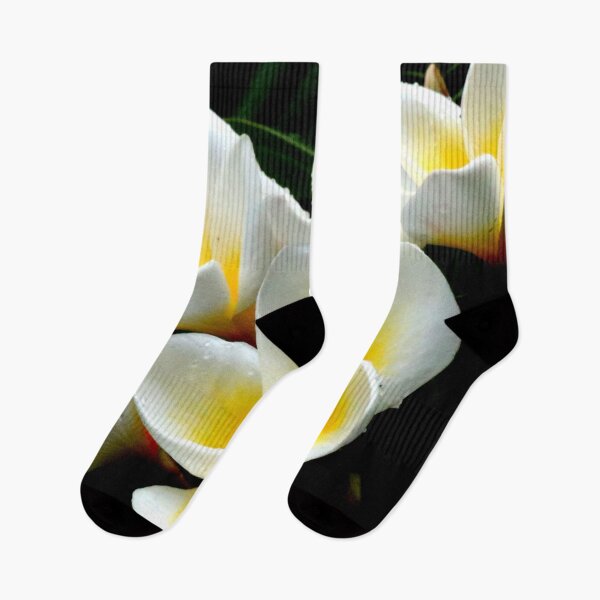 Item preview, White Frangipani 1 designed and sold by Geoff Treagus.