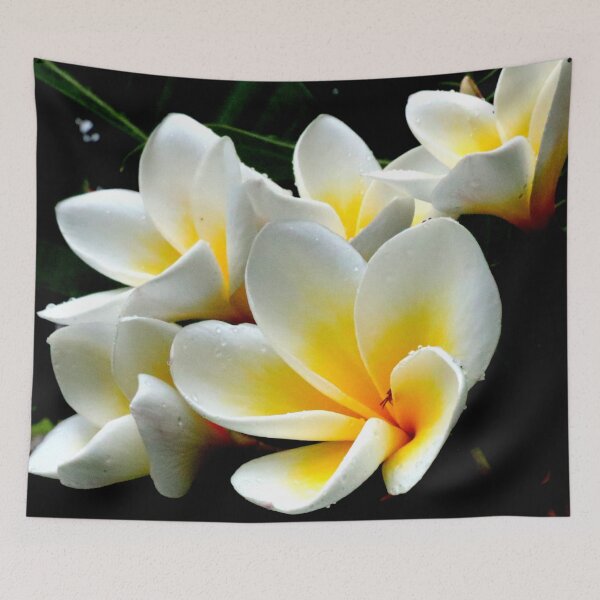 Item preview, White Frangipani 1 designed and sold by Geoff Treagus.