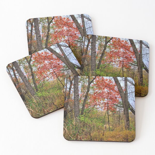 Item preview, Autumn In Briggs designed and sold by LynyrdSky.