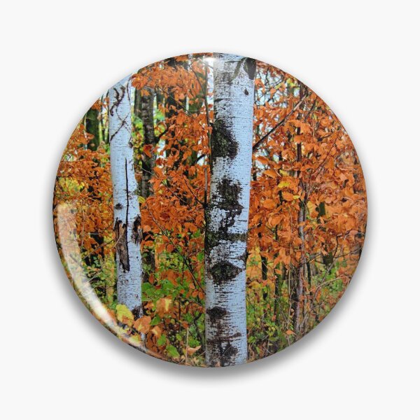 Item preview, Birch Autumn designed and sold by LynyrdSky.