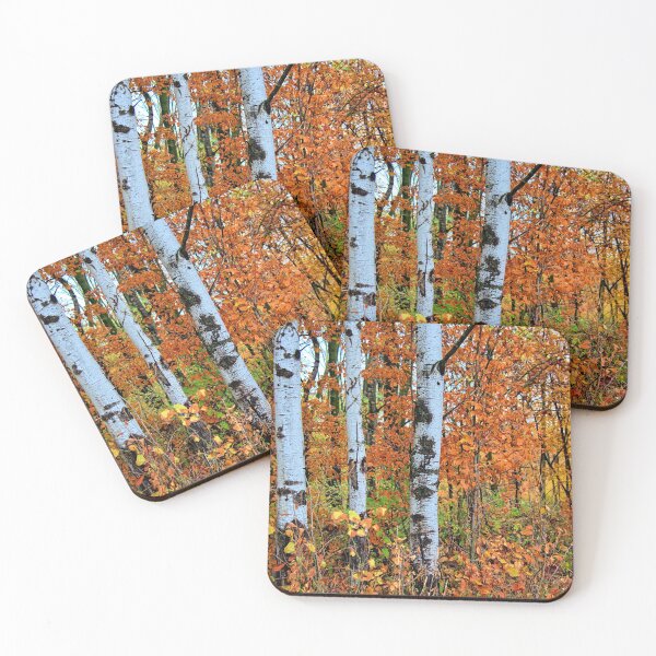 Item preview, Birch Autumn designed and sold by LynyrdSky.