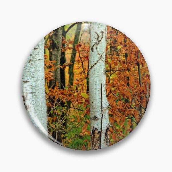 Item preview, Birch Trunk Autumn designed and sold by LynyrdSky.