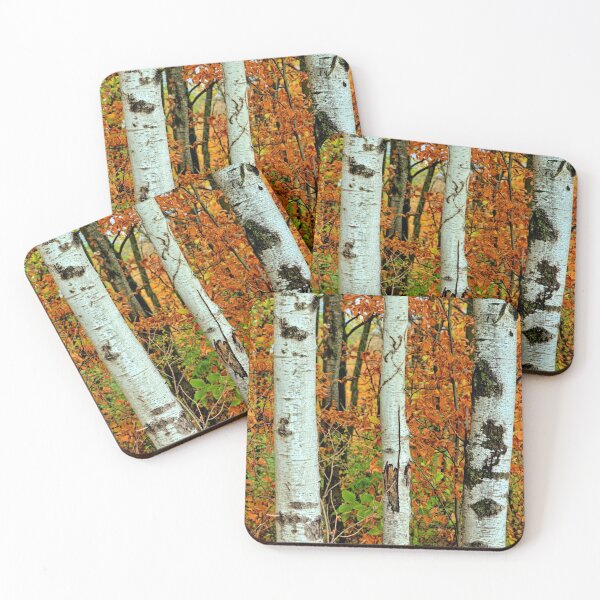 Item preview, Birch Trunk Autumn designed and sold by LynyrdSky.