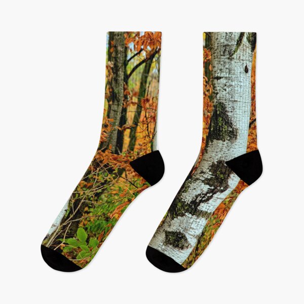 Item preview, Birch Trunk Autumn designed and sold by LynyrdSky.