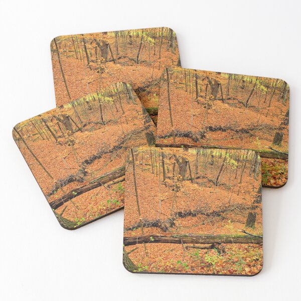 Item preview, Mann Wilderness Autumn designed and sold by LynyrdSky.