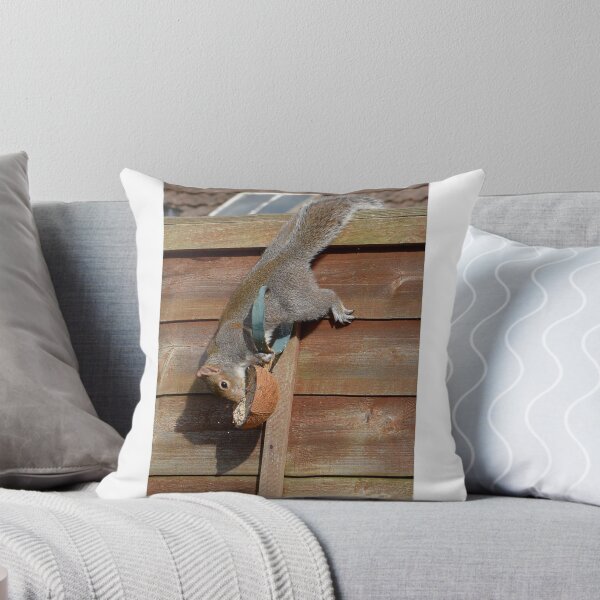 Item preview, Squirrel in a Peebles garden designed and sold by rosie320d.
