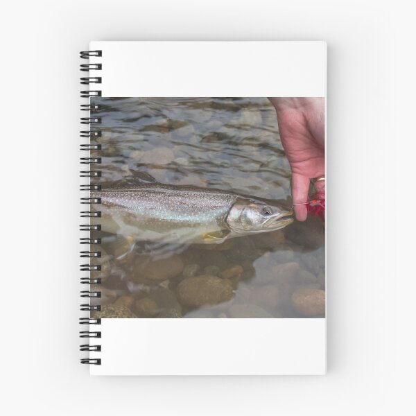 Item preview, A close up of a Bull trout in the water, caught on a red intruder fly designed and sold by SnapTPhotograph.
