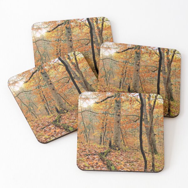 Item preview, Mann Wilderness Fall Panorama designed and sold by LynyrdSky.