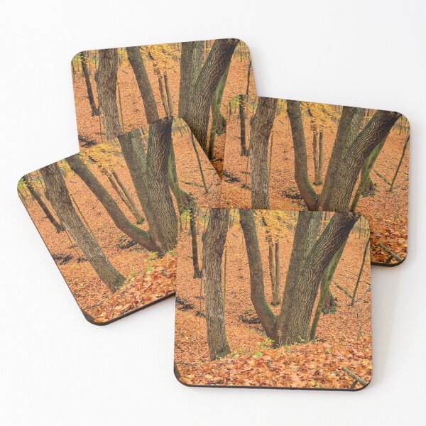 Item preview, Fall In Mann Wilderness designed and sold by LynyrdSky.
