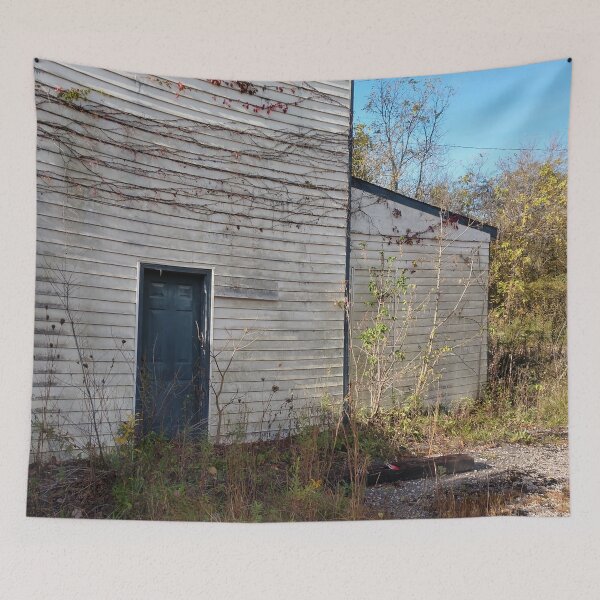 Item preview, Abandoned House Haydenville Road Hocking County Ohio two designed and sold by tamal778.