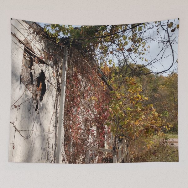 Item preview, Abandoned House Haydenville Road Hocking County Ohio five designed and sold by tamal778.