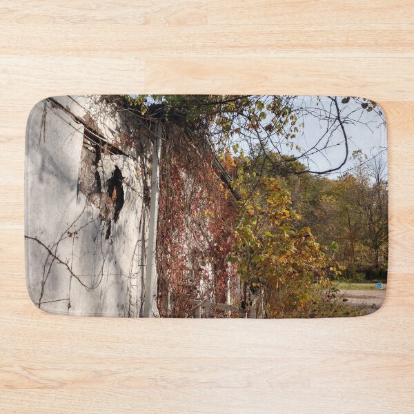 Item preview, Abandoned House Haydenville Road Hocking County Ohio five designed and sold by tamal778.