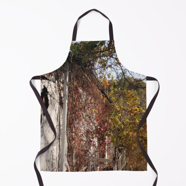Item preview, Abandoned House Haydenville Road Hocking County Ohio five designed and sold by tamal778.