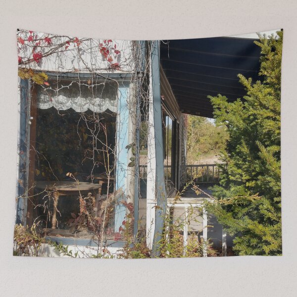 Item preview, Abandoned House Haydenville Road Hocking County Ohio eight designed and sold by tamal778.