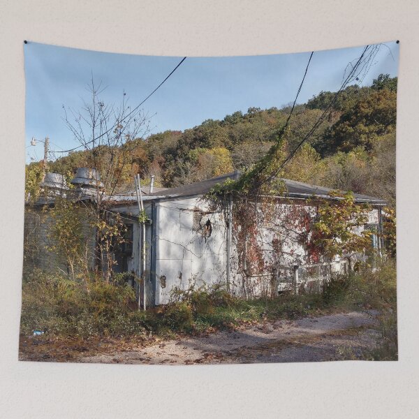 Item preview, Abandoned House Haydenville Road Hocking County Ohio nine designed and sold by tamal778.