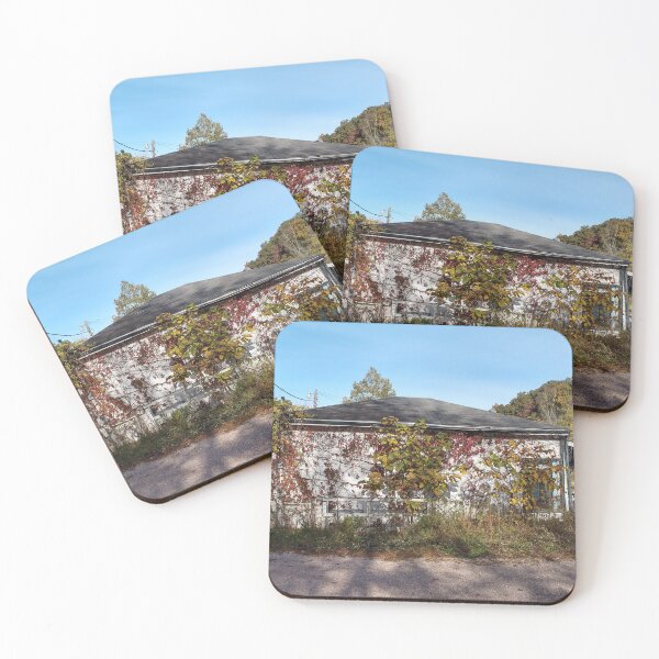 Item preview, Abandoned House Haydenville Road Hocking County Ohio ten designed and sold by tamal778.
